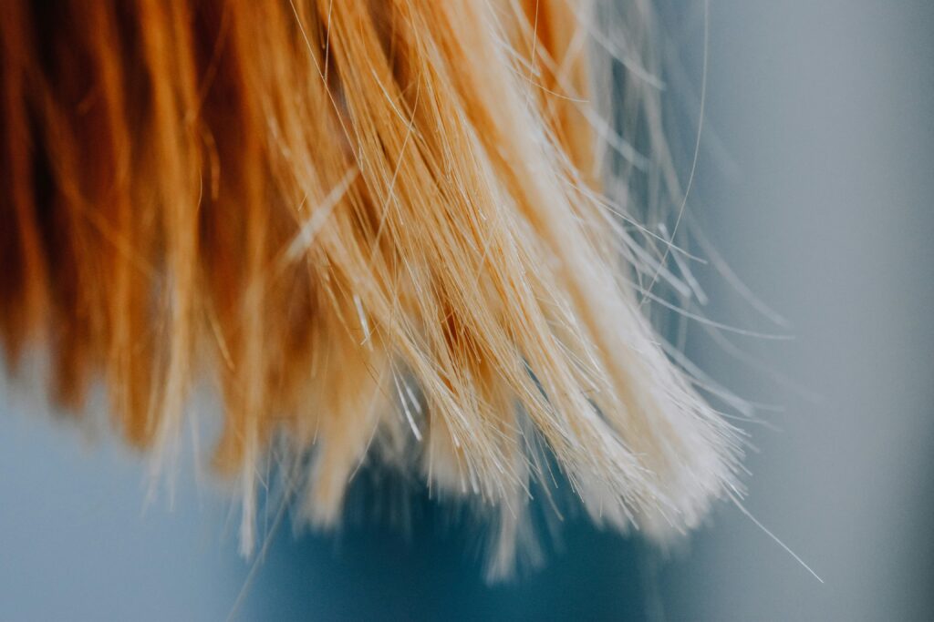 How to get rid of split ends