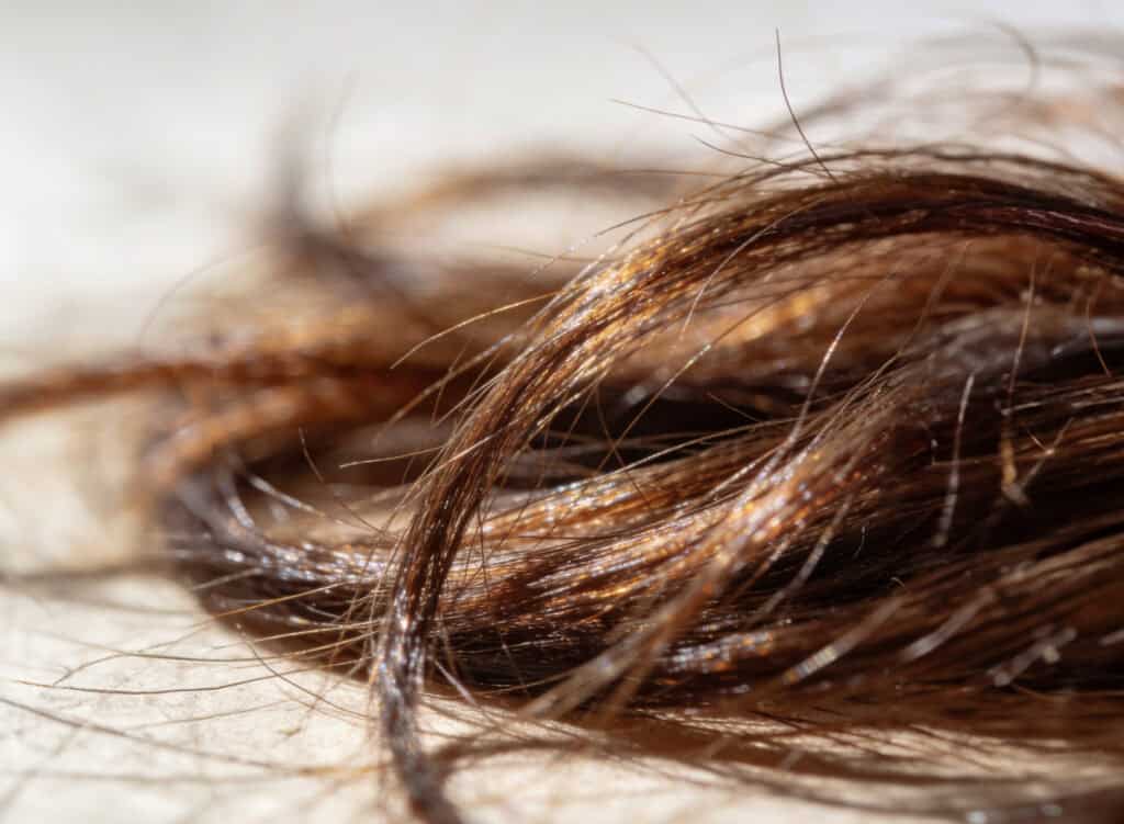 Can you balayage without bleach?